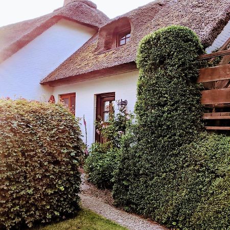 Ferienhaus Ebbe Und Flut, Terrassen-Whg Nieblum Kültér fotó