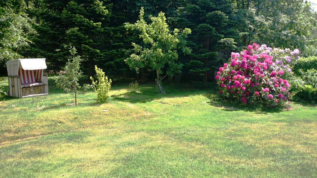 Ferienhaus Ebbe Und Flut, Terrassen-Whg Nieblum Kültér fotó
